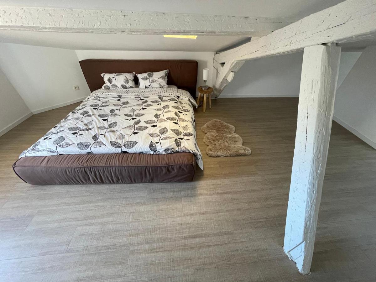 Duplex Quartier Saint-sernin, Apartment
