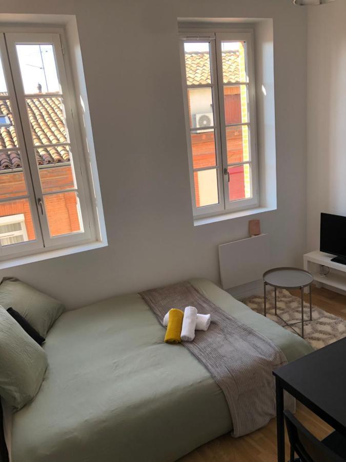 Apartment Le Cygne Blanc Toulouse