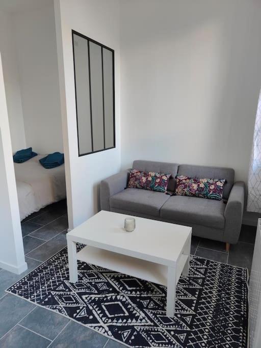 Apartment Hyper Centre Metro Gare Toulouse