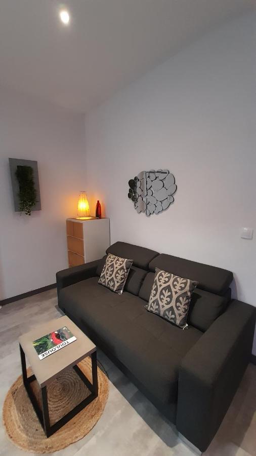 Canal Du Midi Apartment