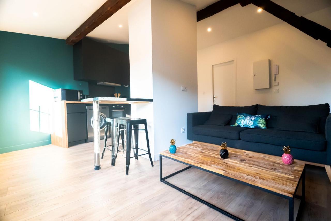 Le Puits-clos - T2 Au Capitole Apartment