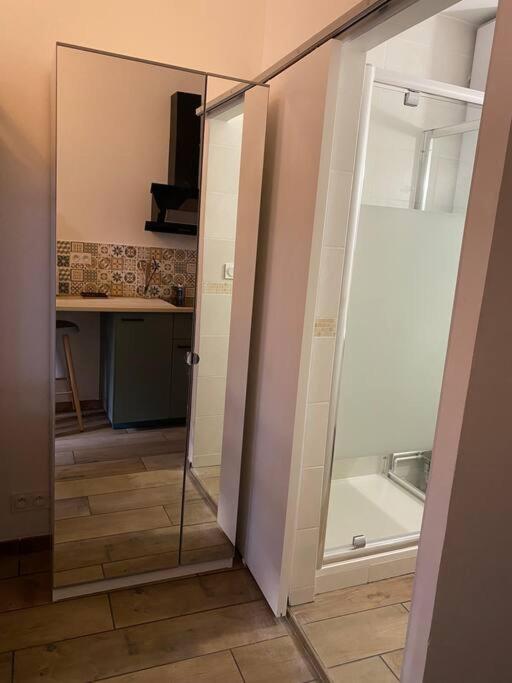 Apartamento Studio Cosy Centre Toulouse