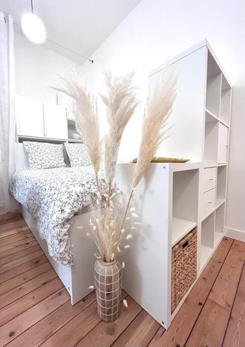 Studio Rose Poudre Centre Apartamento Toulouse
