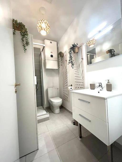 Apartamento Studio Rose Poudre Centre *