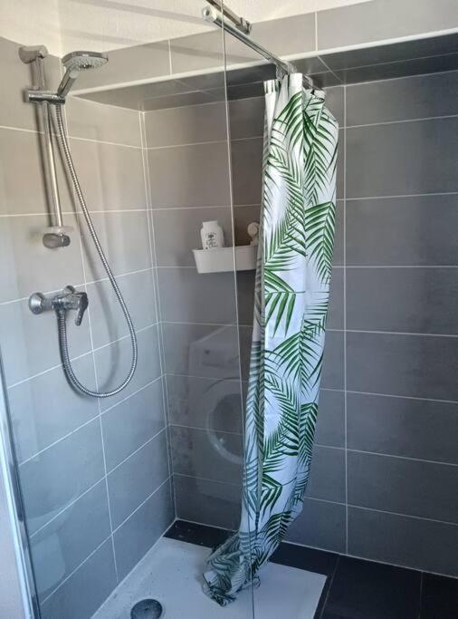 T2 Tres Lumineux + Pkg Apartment Toulouse