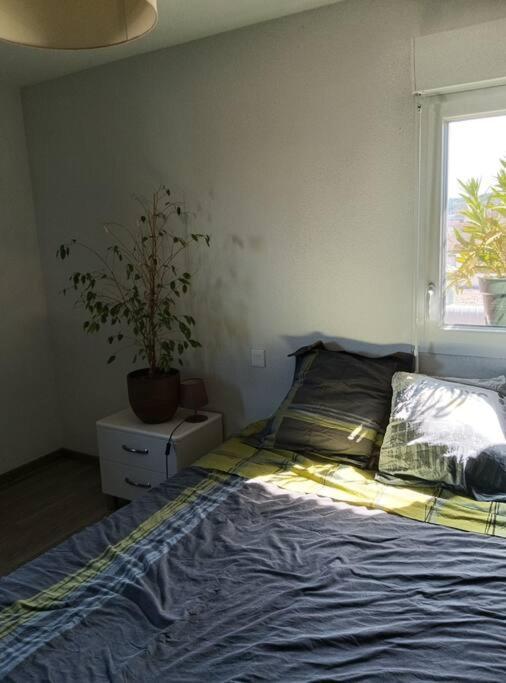 Apartment T2 Tres Lumineux + Pkg *