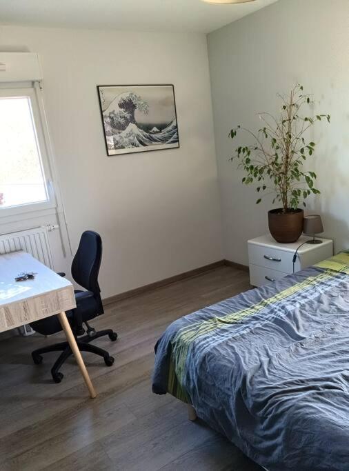 Apartment T2 Tres Lumineux + Pkg