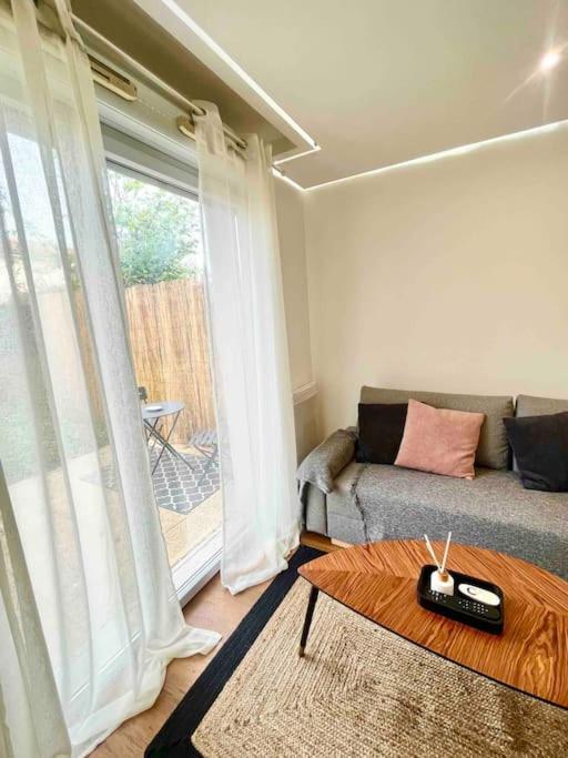 Apartment Garden In Toulouse