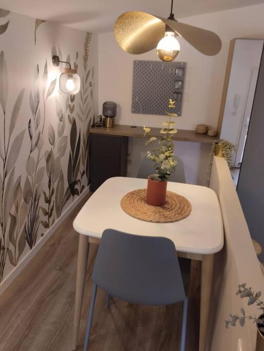 Les Salenques Apartamento