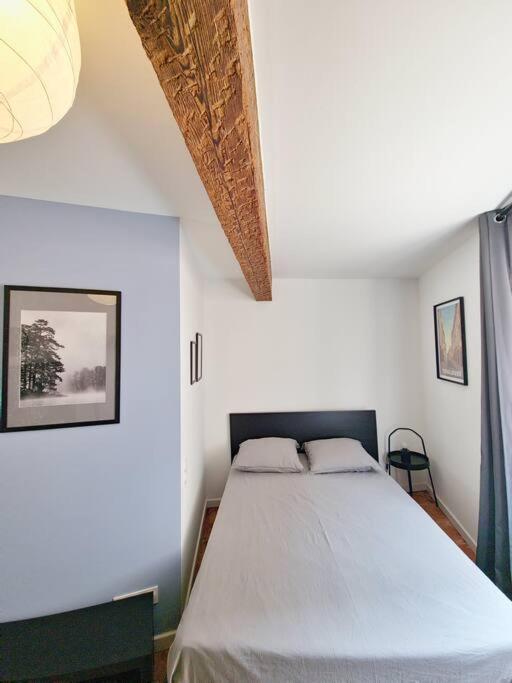 Apartment Proche Capitole - Terrasse - Wifi - Tv Toulouse
