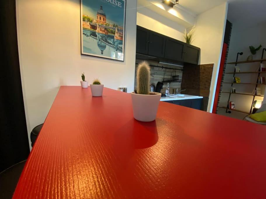 Apartamento Le Nid D'orient Entre Matabiau Et Capitole Parking Toulouse