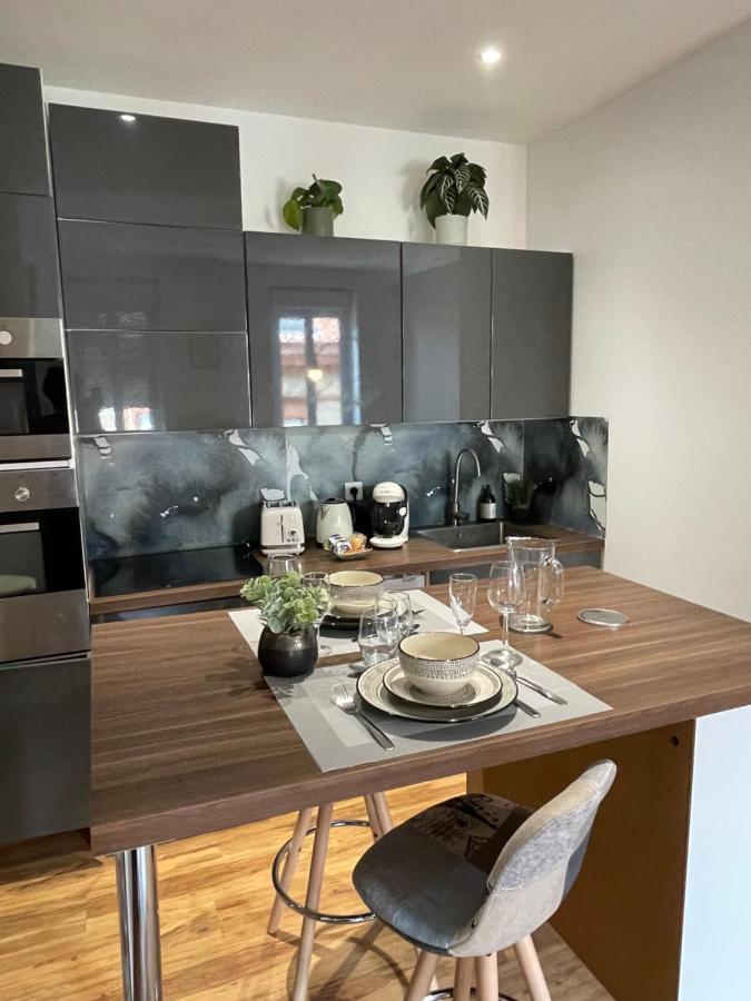 Apartment Climatise Avec Balcon Et Parking Prive Toulouse