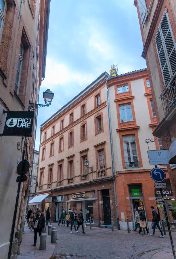 Le Cocon Des Puits Clos Apartment Toulouse