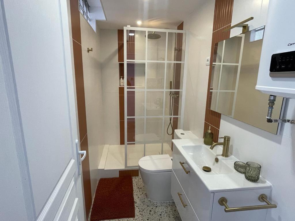 Nid Douillet Proche Capitole Appartement Toulouse