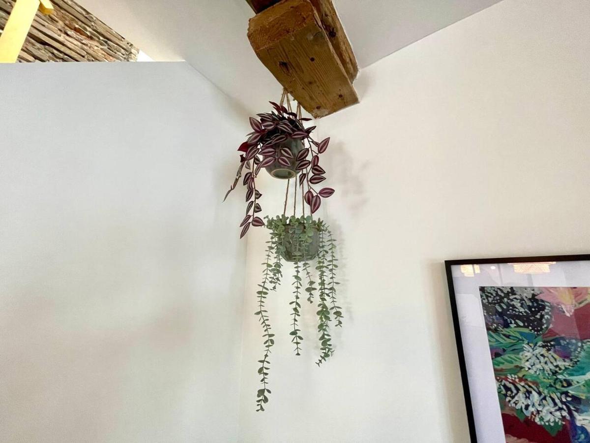 Maison La Provencale 6 Pers - Free Parking - Climatisation - Metro * Toulouse