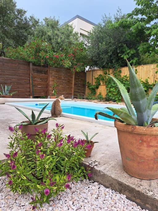 Appartement Proche Gare Jardin Et Piscine.