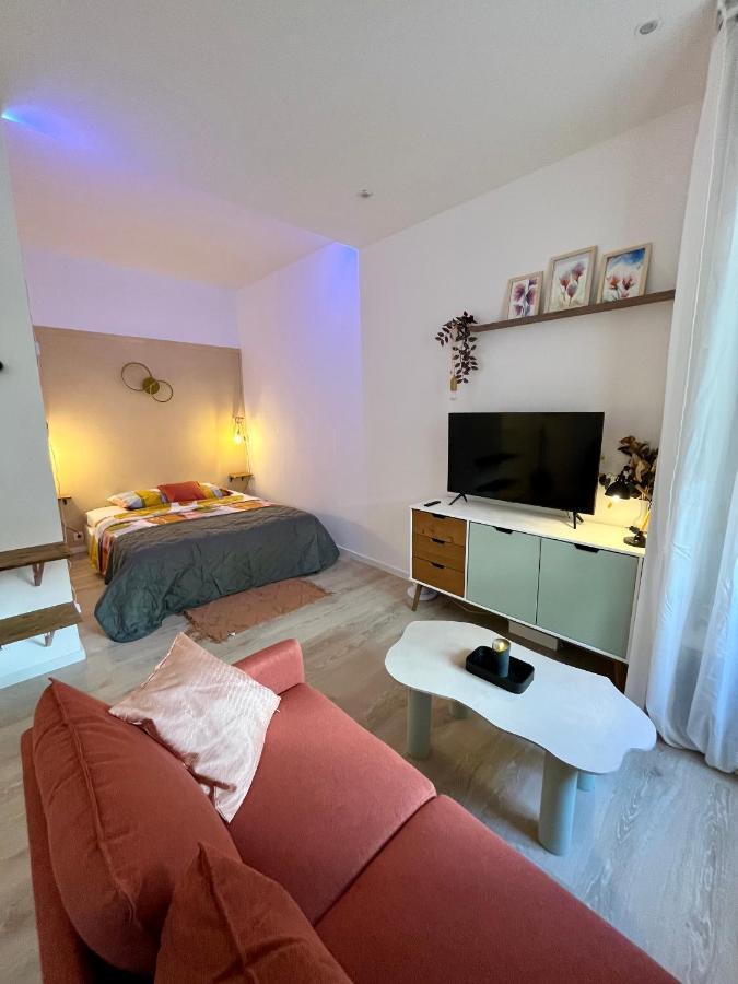 Apartamento Le Natanigor - Centre Gare
