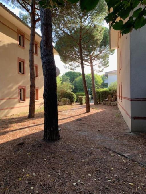 T1 Sporting 1er Etage *