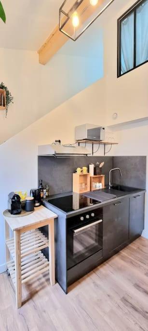 Le Duplex Catherine - Metro - Gare - Wifi Apartment Toulouse