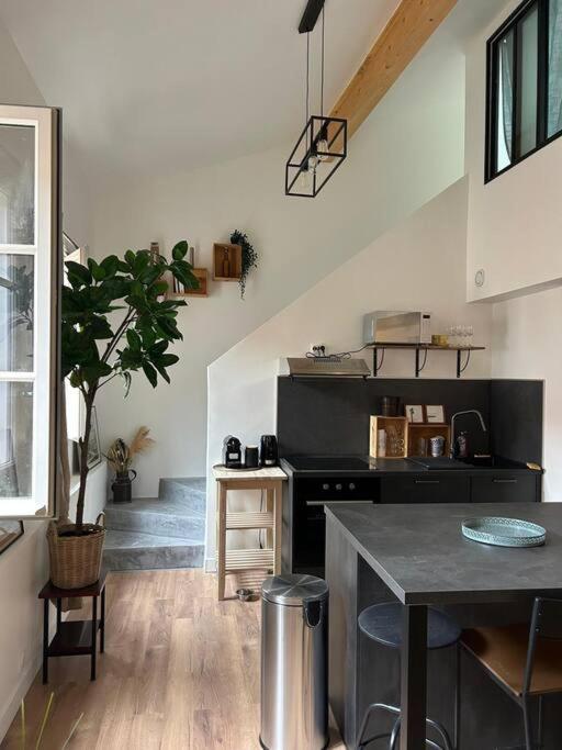 Le Duplex Catherine - Metro - Gare - Wifi Apartment Toulouse