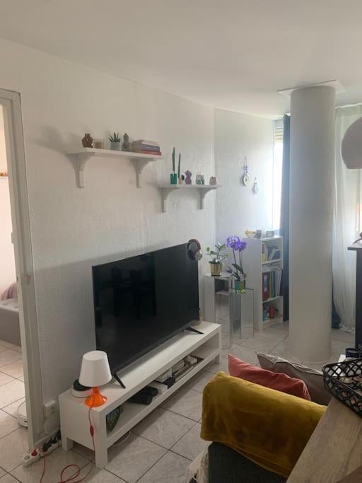 Au Dessus Des Toits - Hypercentre - Metro - Gare Apartamento