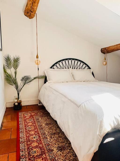 Apartment Your Getaway In Center Toulouse