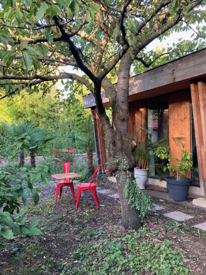 Un Jardin En Appartement
