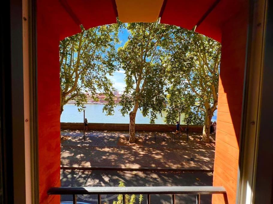 Appartement Mon Bout De Garonne -