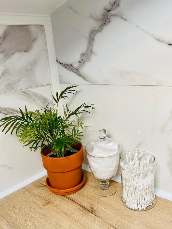 L'hortensia Saint Aubin Appartement Toulouse