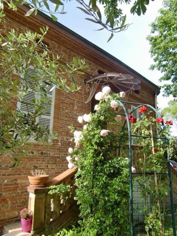 Bed and breakfast La Des Violettes Toulouse