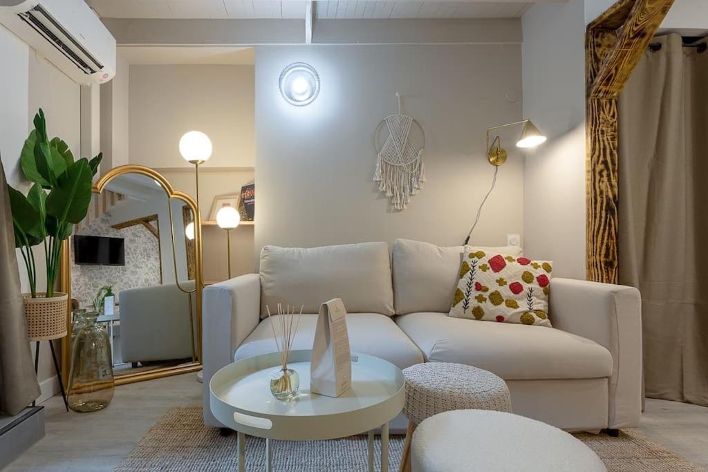 L'elegance Du Capitole Apartment Toulouse