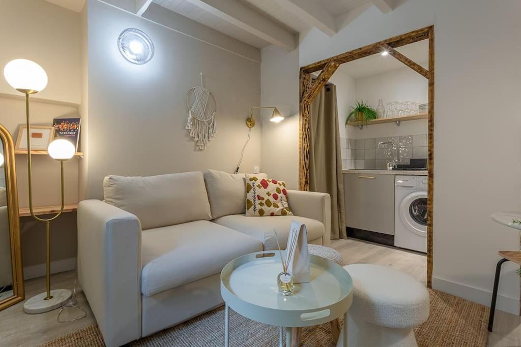 L'elegance Du Capitole Apartment