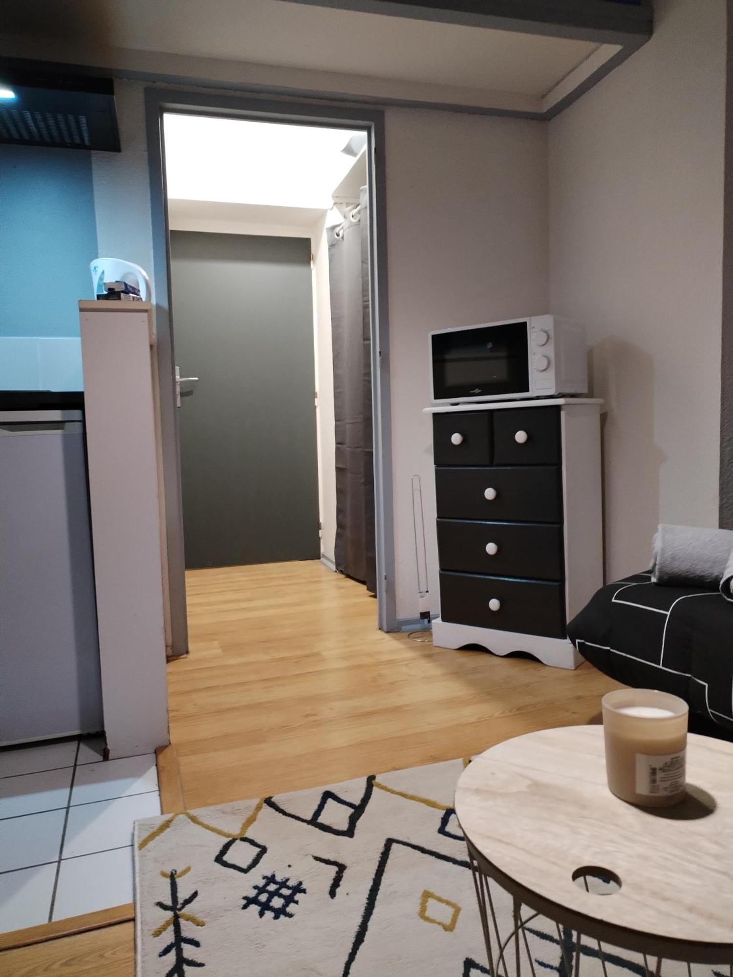 Petit Coin De Apartment Toulouse