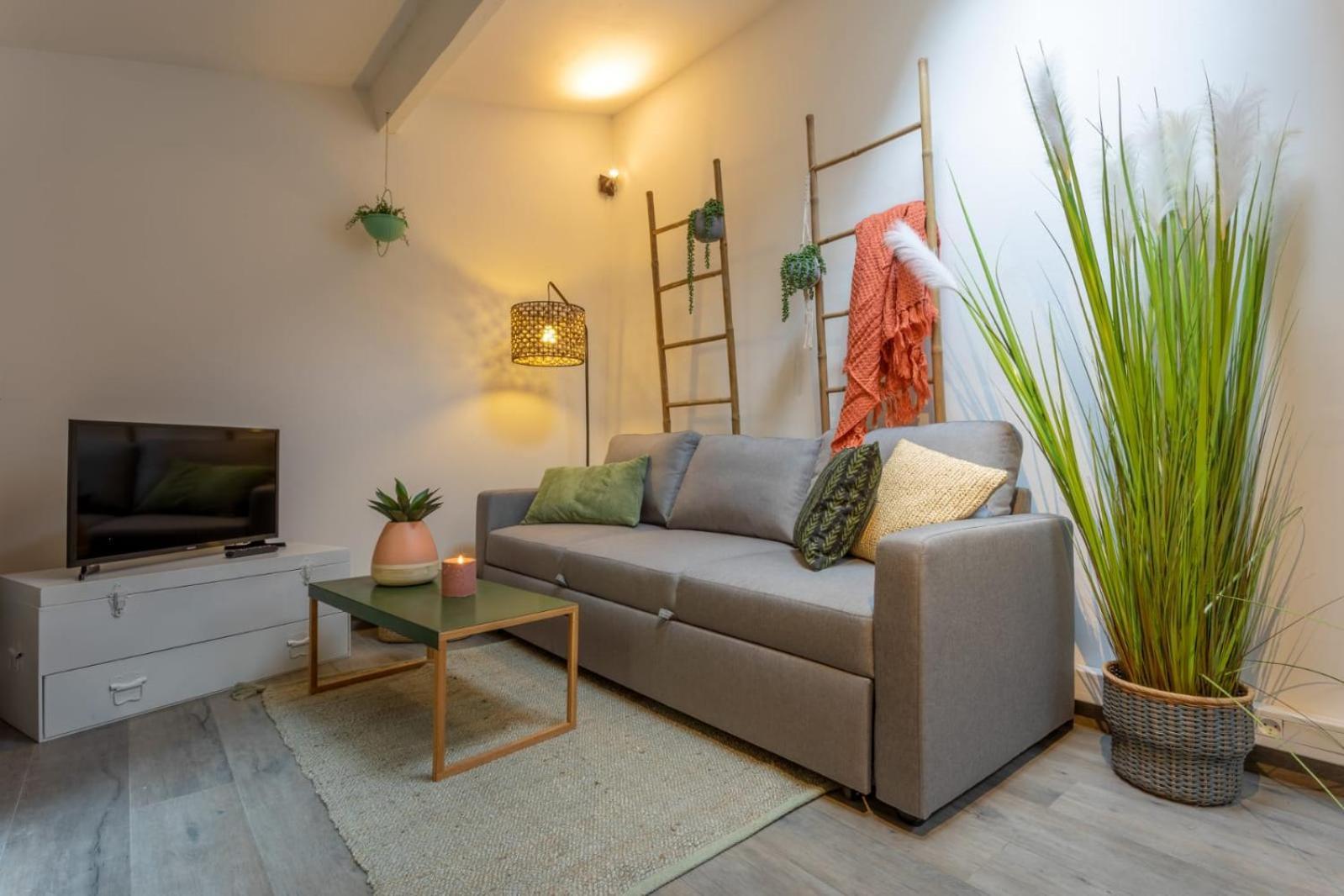 Apartamento Chartreuse, Clim, Parking, Terrasse Au Calme *
