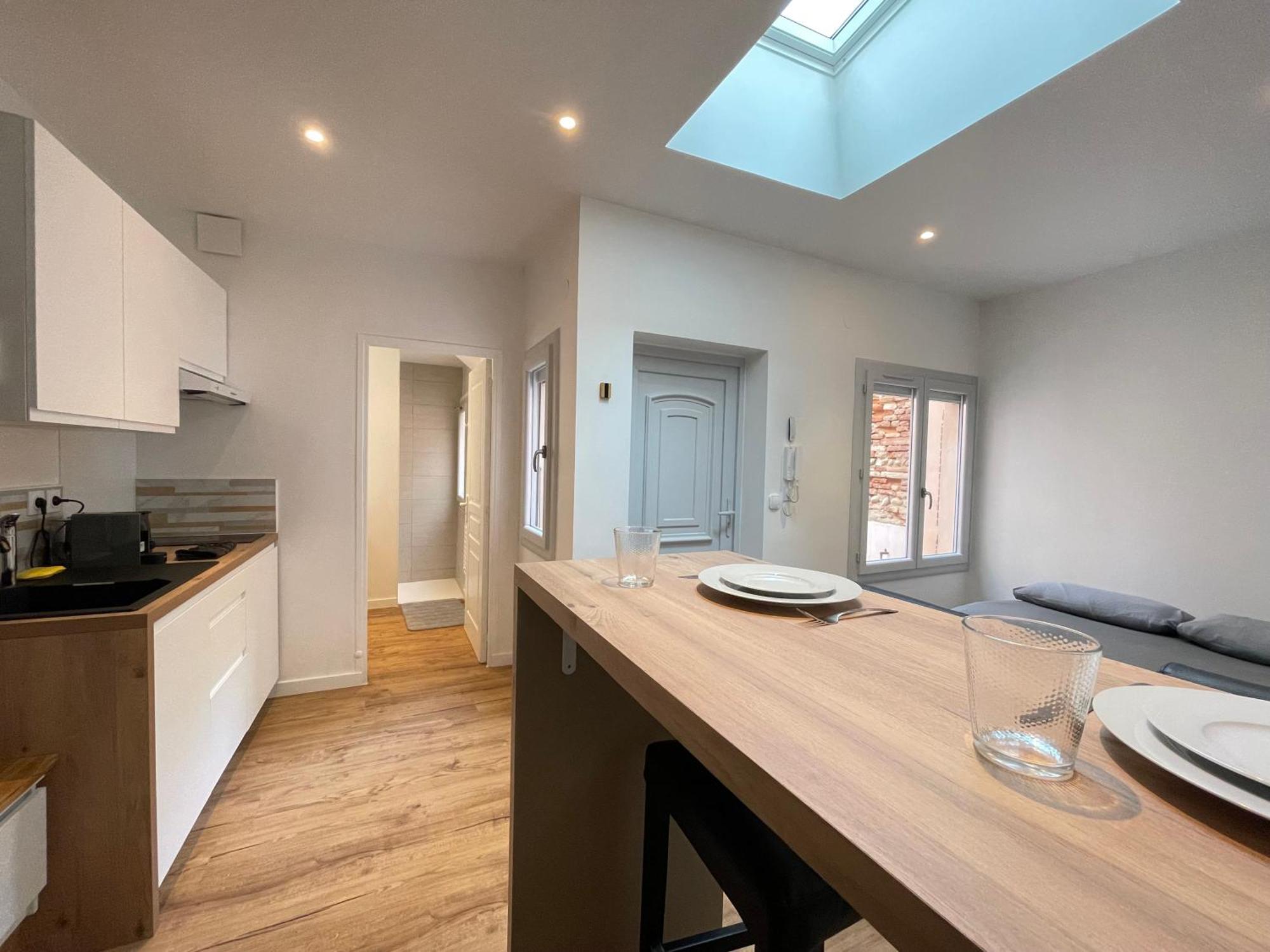 Pargaminieres Apartment Toulouse