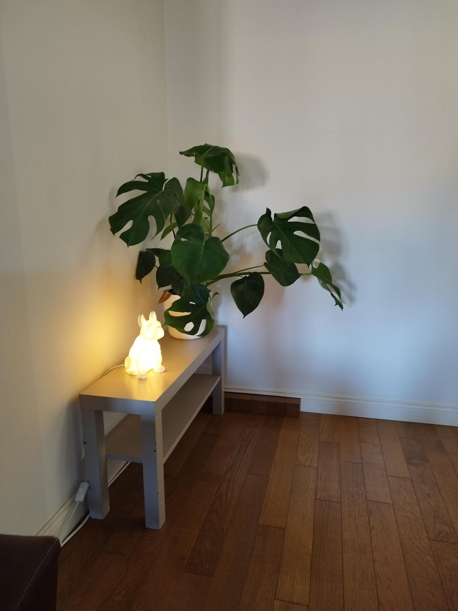 Le Clos St Georges Appartement *