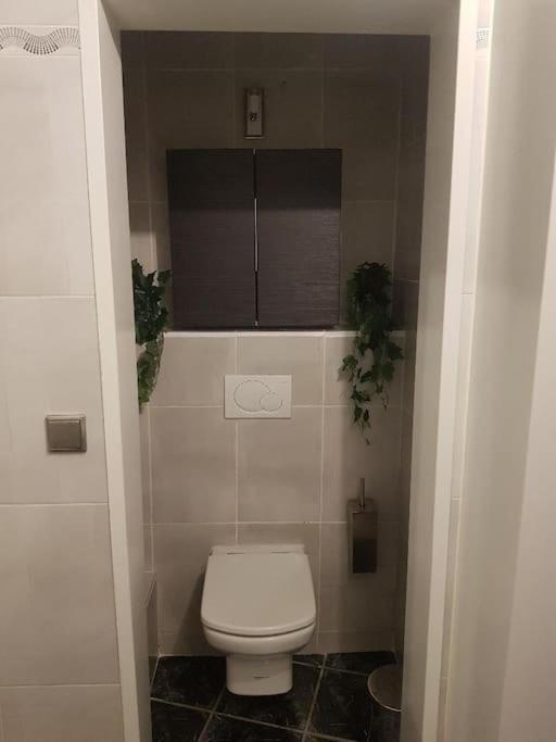 Apartamento Cosy Entierement Equipe Toulouse