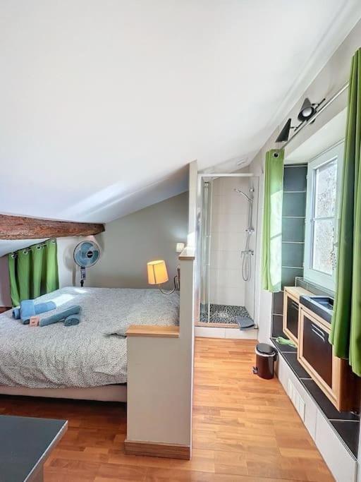 Le Des Carmes - T4 Hypercentre Apartamento