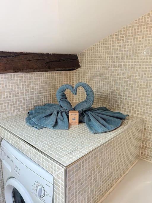 Le Des Carmes - T4 Hypercentre Apartamento Toulouse