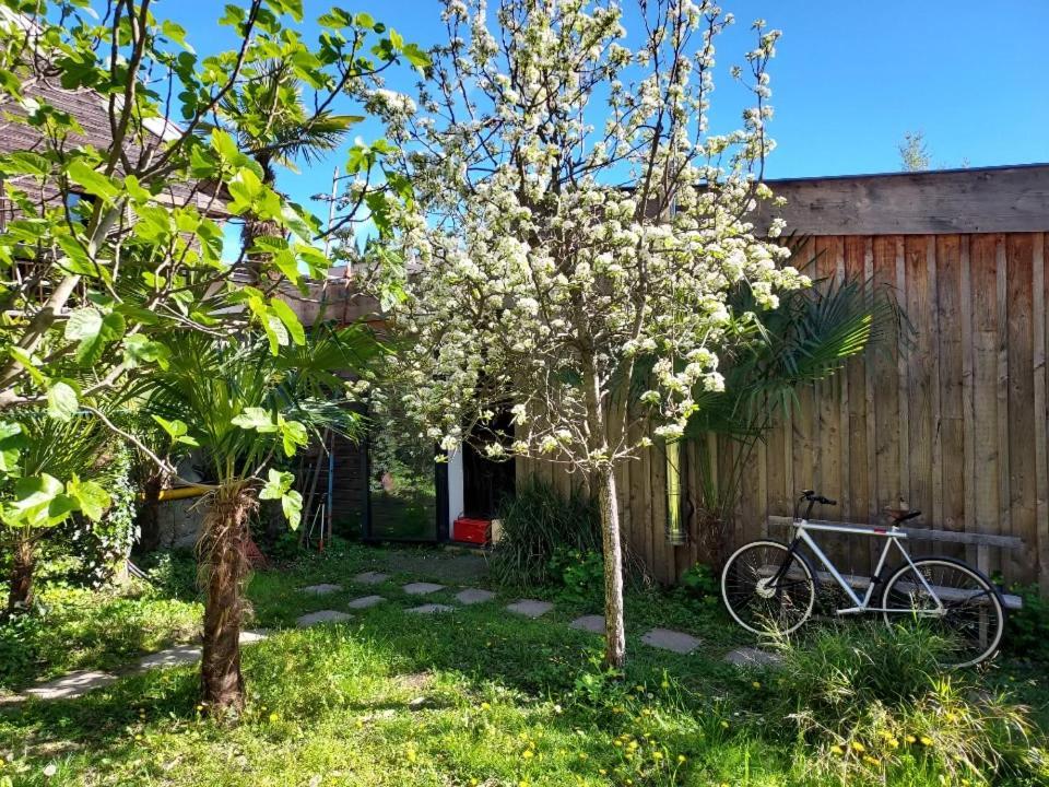 Un Jardin En Apartamento *