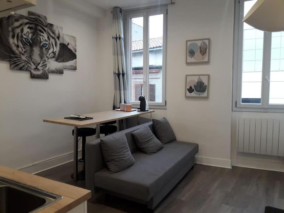 Appartement Centre Jean-jaures Toulouse