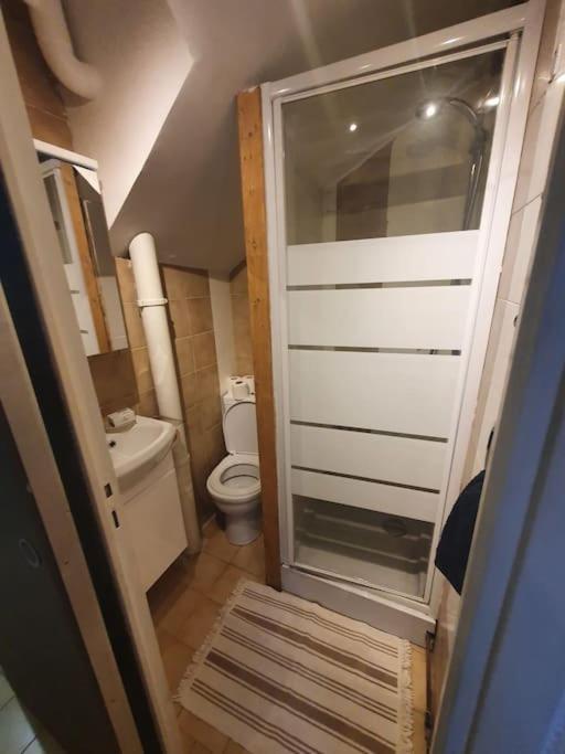 Apartamento Hypercentre Historique Daurade Toulouse