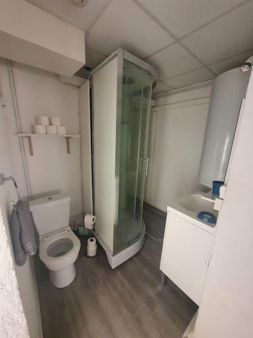 Apartamento Hypercentre Historique Daurade Toulouse