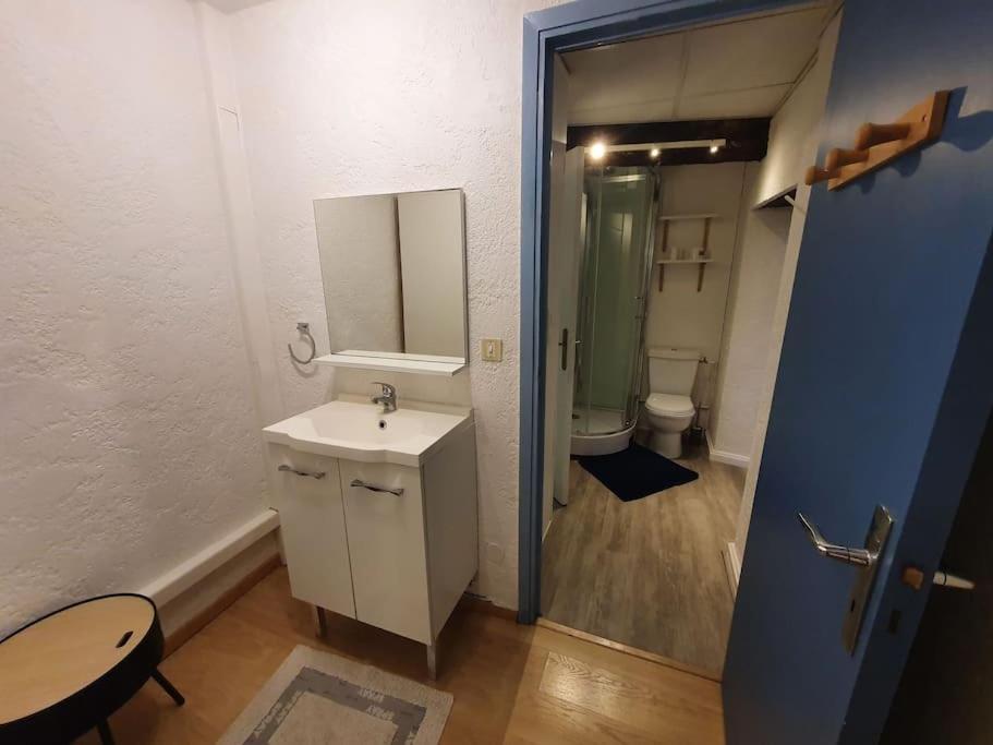 Apartamento Hypercentre Historique Daurade *