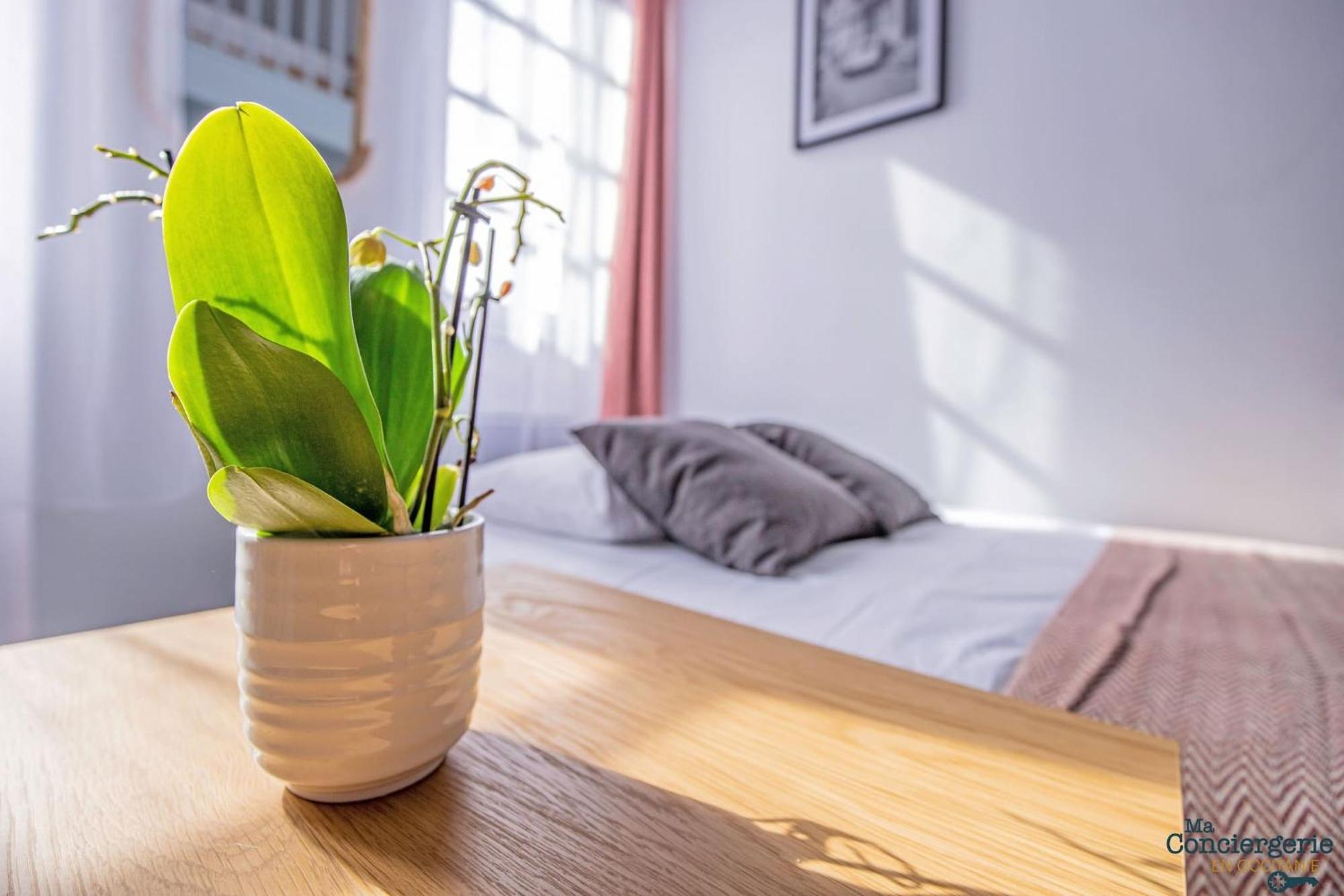 Apartamento Duplex Champetre : Gare, Marche, Hypercentre Toulouse