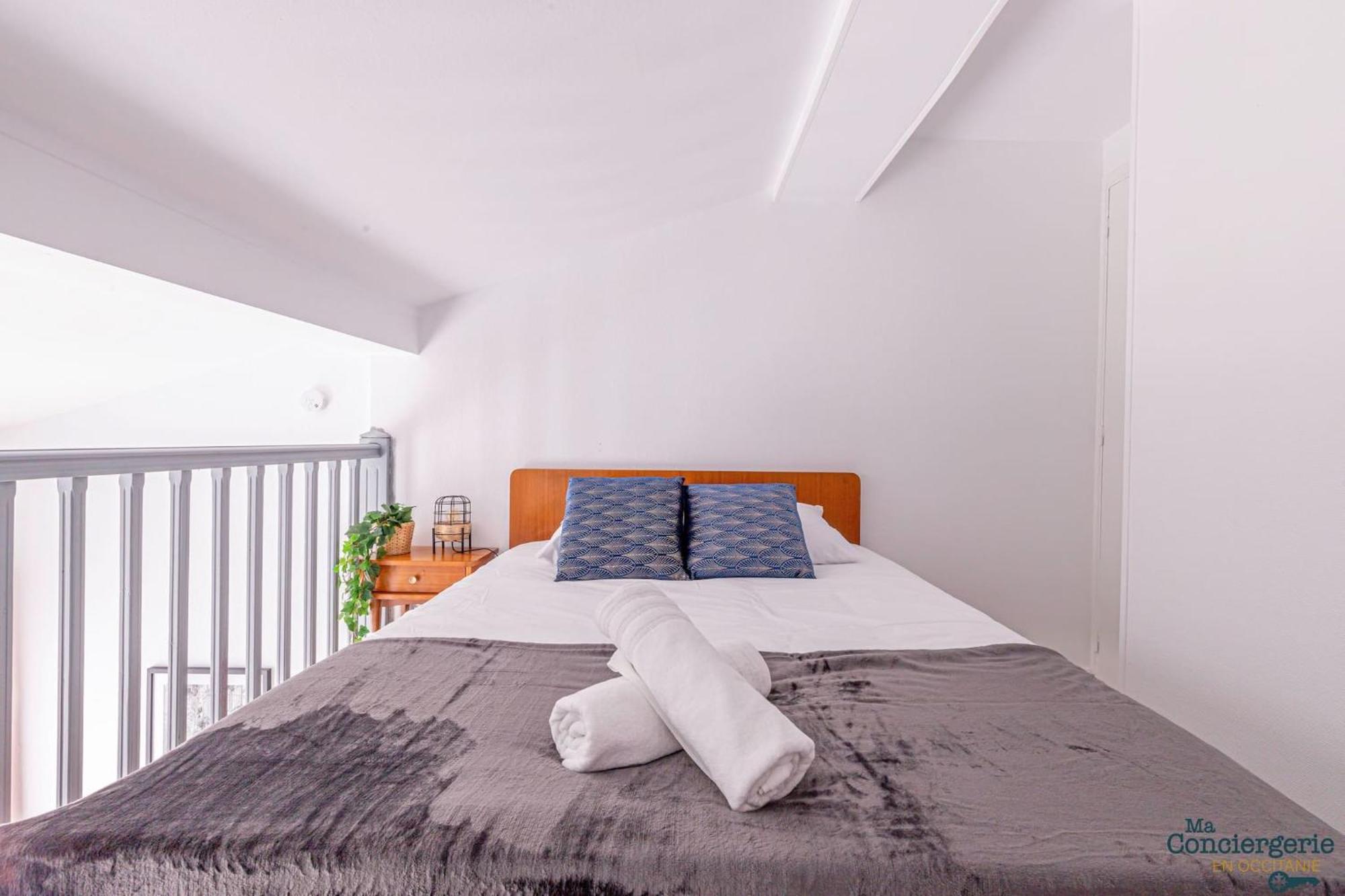 Duplex Champetre : Gare, Marche, Hypercentre Toulouse