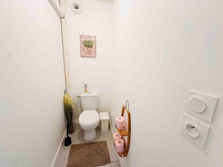 La Roseraie Toulousaine Avec Parking Prive Apartamento Toulouse