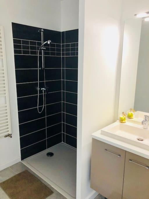La Roseraie Toulousaine Avec Parking Prive Apartamento