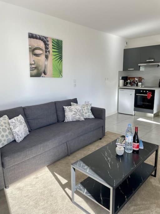 Apartamento La Roseraie Toulousaine Avec Parking Prive Toulouse