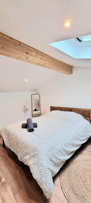 Le Duplex Catherine - Metro - Gare - Wifi * Toulouse